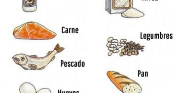 alimentos ricos en proteinas