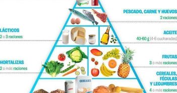 Piramide Alimenticia