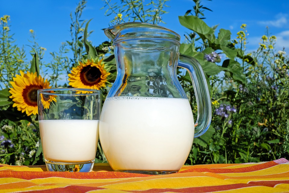 Leche sin lactosa o de soja | GlobalNutricion