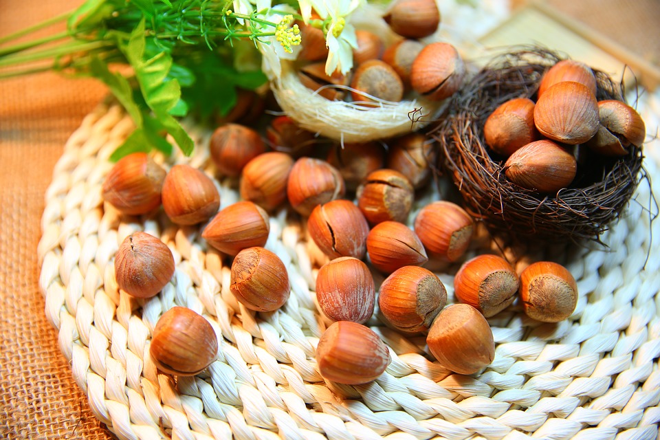 Avellanas | Global Nutricion