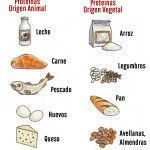 Proteínas, alimentos que son ricos en este nutriente