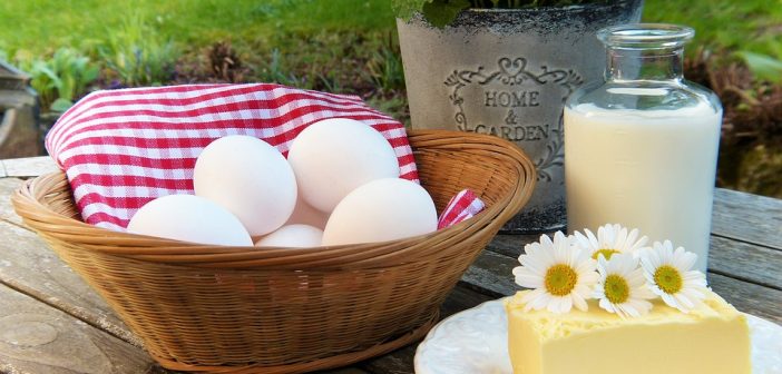 Alimentos sin lactosa. Todo lo que debes saber