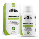 Harpagofito